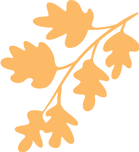 orange-plant-leaves