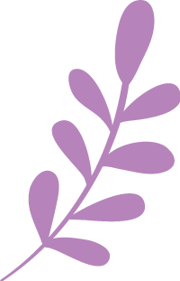 purple-plant-leaves